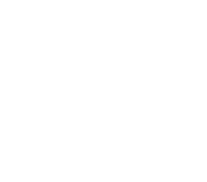 DP_Logo_weiss_rgb