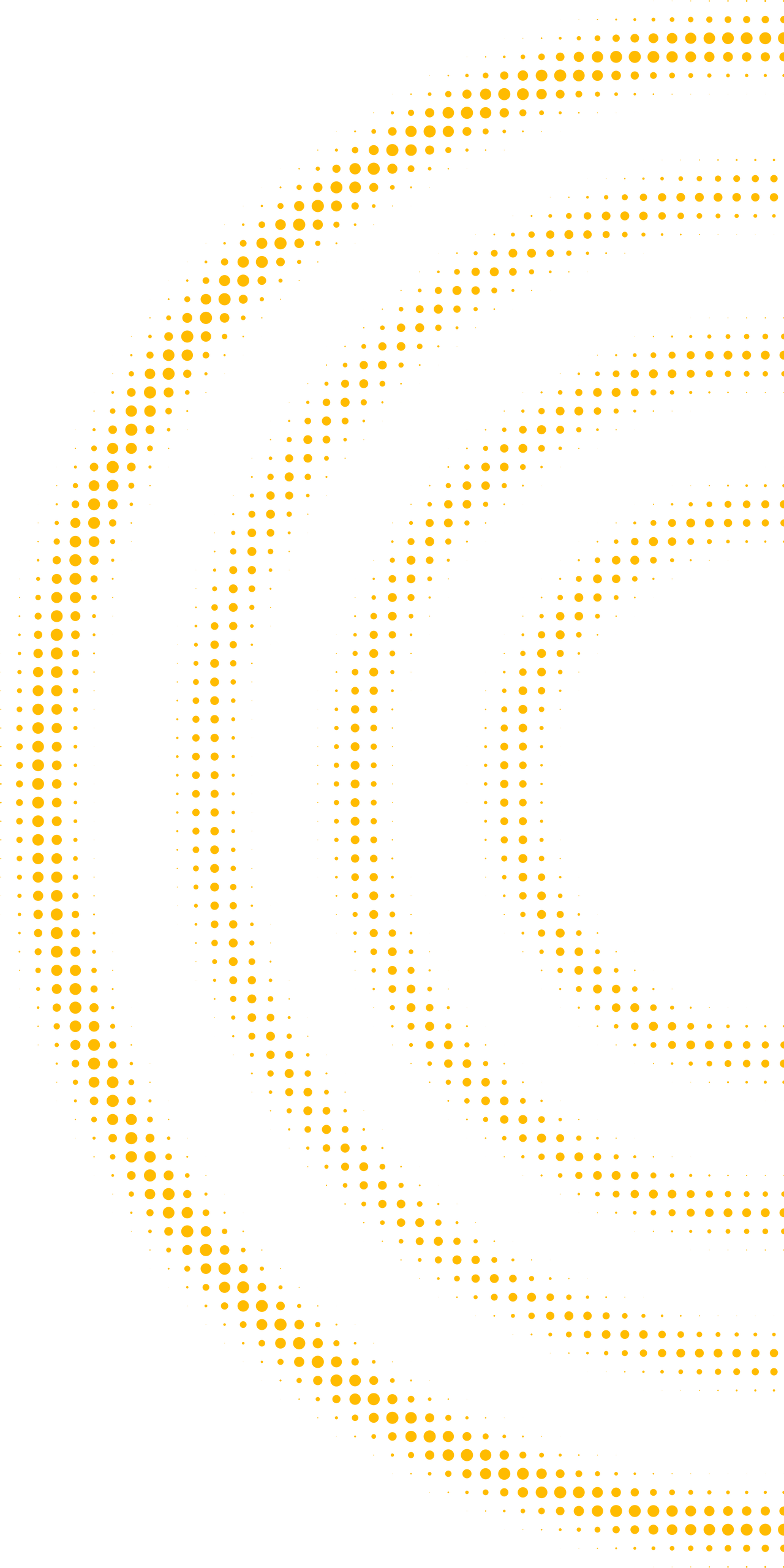 Rasterkreis_RGB_2000x2000px__FFBA00_halb_links