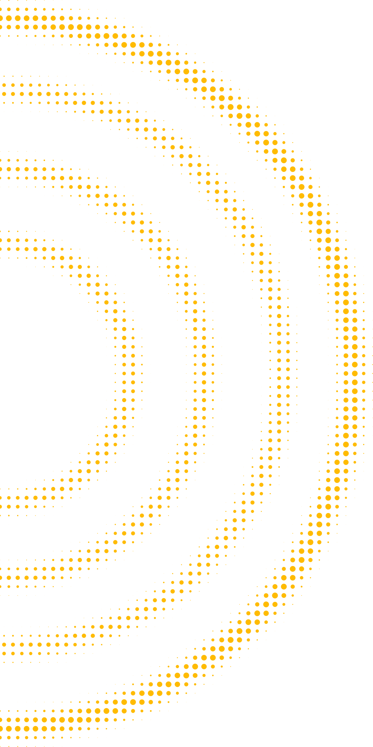 Rasterkreis_RGB_2000x2000px__FFBA00_halb_rechts