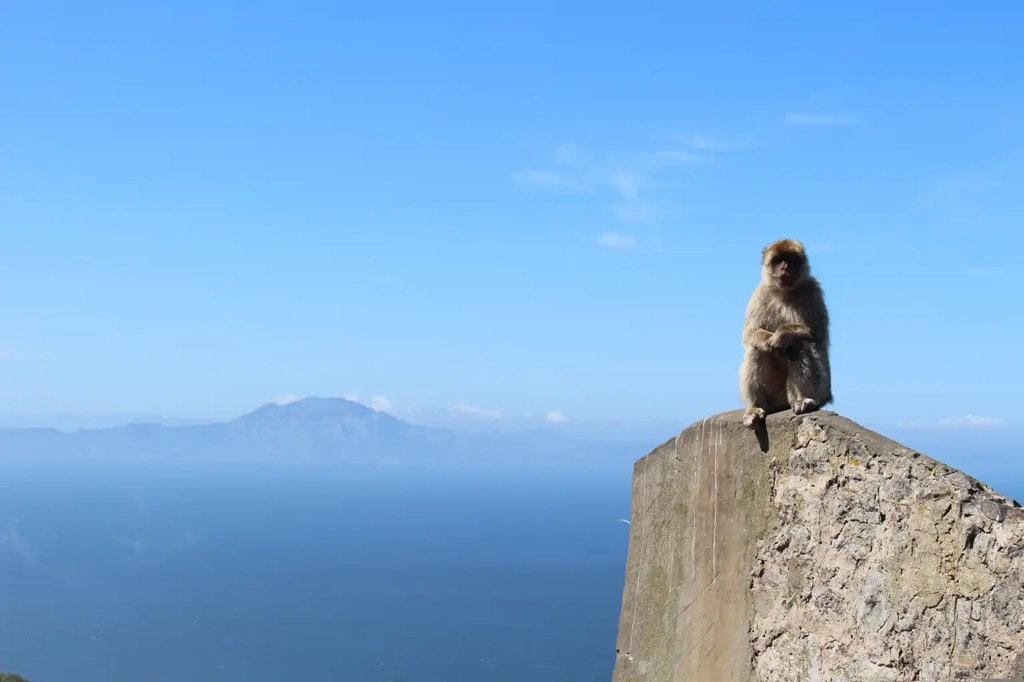 Blick über die Straße von Gibraltar.