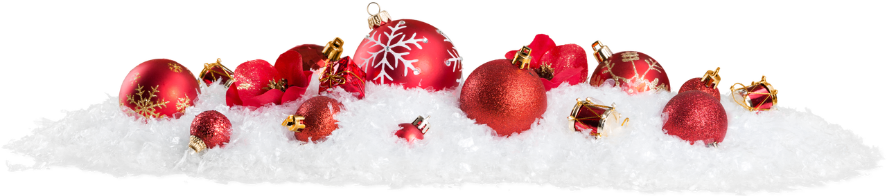 AdobeStock_542275344 Kopie
