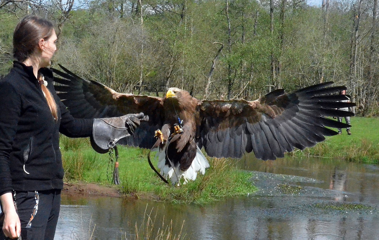 S-5_Gewinnspiel_Eekholt_Flugvorführungen_7