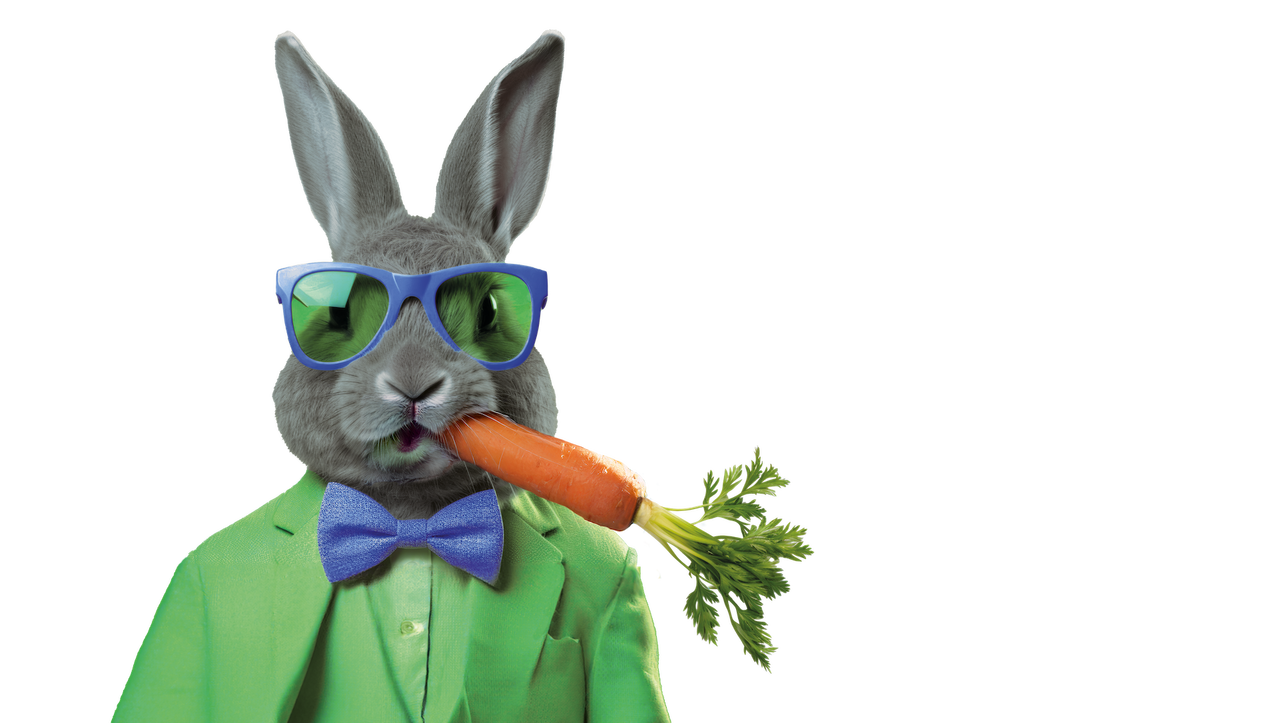 Hase_m_Sonnenbrille_u_Moehre_Korr01 Kopie