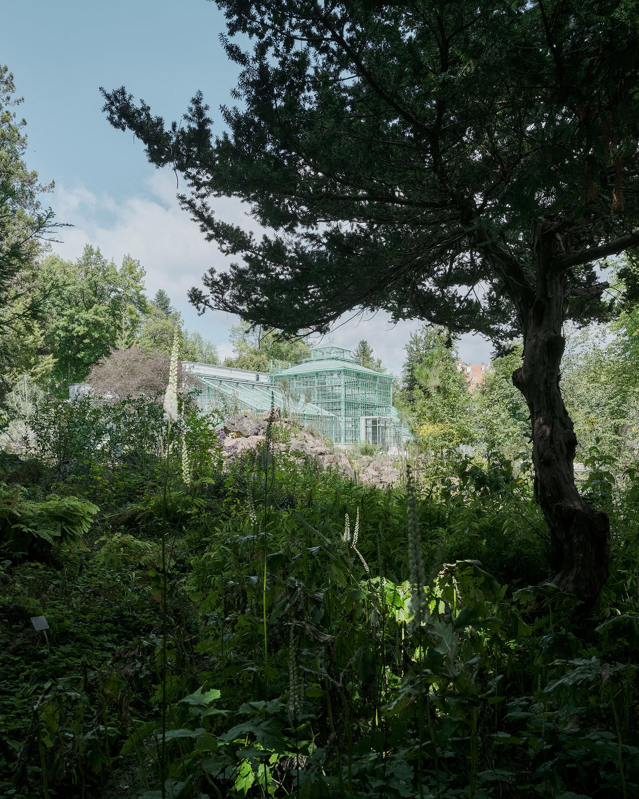 Der Botanische Garten ist ein Wildnis-Korridor zwischen Campus und Leechwald.