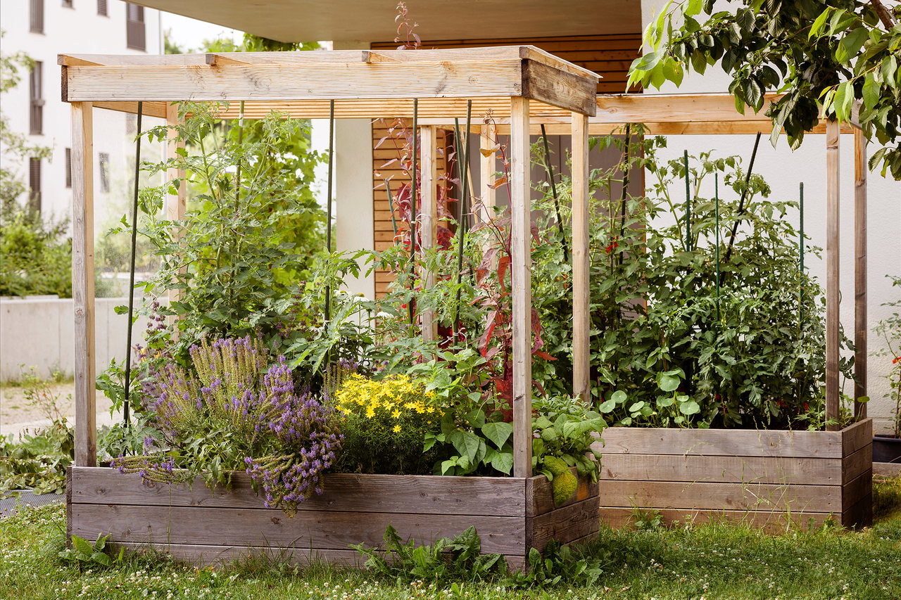 Urban Gardening Anlage mit Blumen und Gemüse