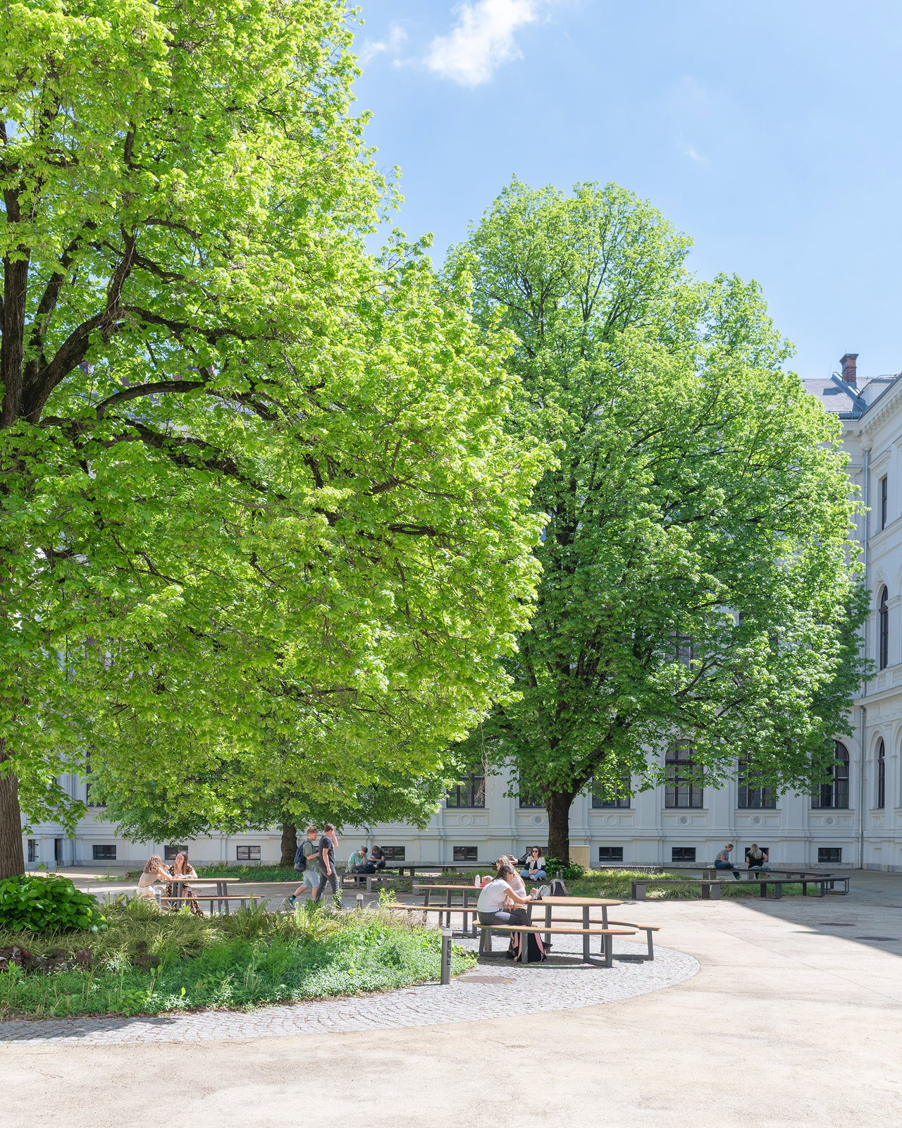 Bäume im Innenhof des Hauptgebäudes der Universität Graz