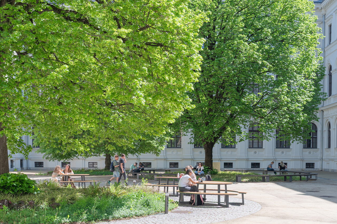 Bäume im Innenhof des Hauptgebäudes der Universität Graz