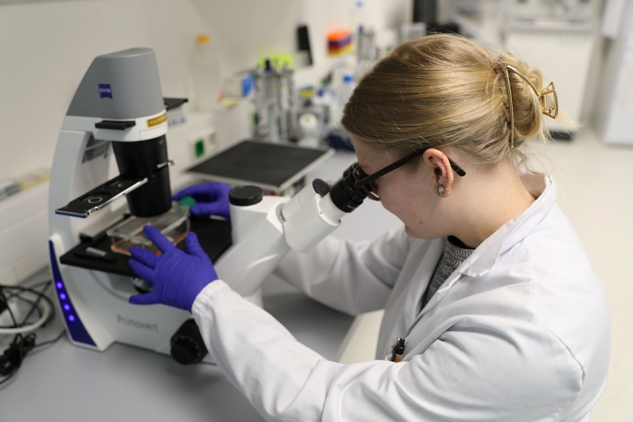 forschung-nettle-lab-mikroskop