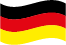 D.png
