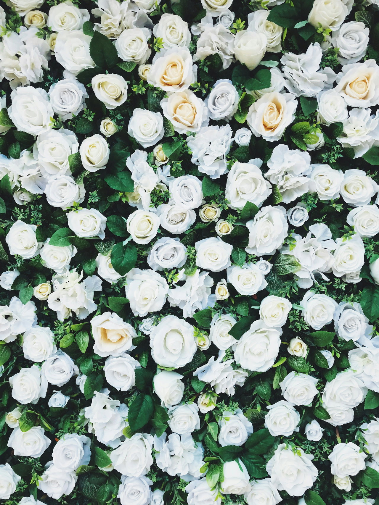 wedding -sqLVUTFtxVs-unsplash