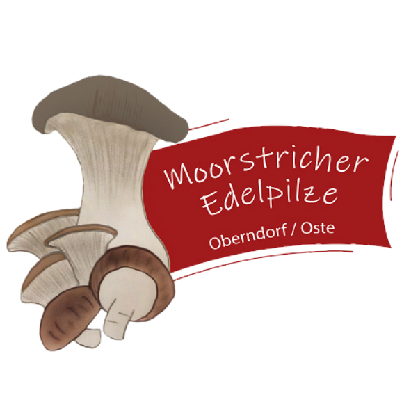 logo (3)