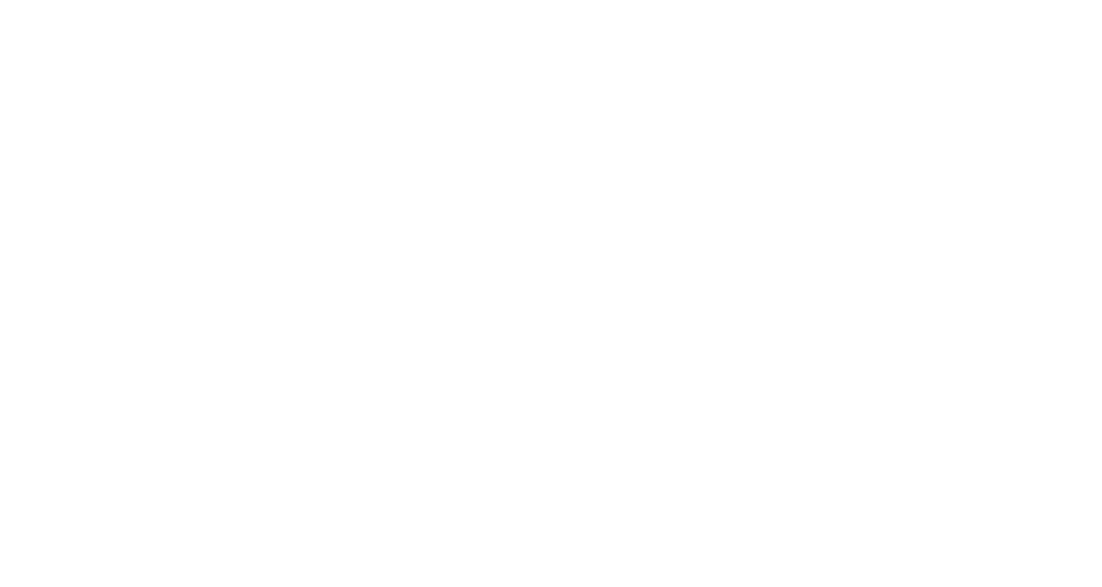 zebra_dpr_w Kopie