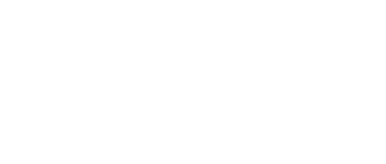Bookwire_Logo_rgb_weiss