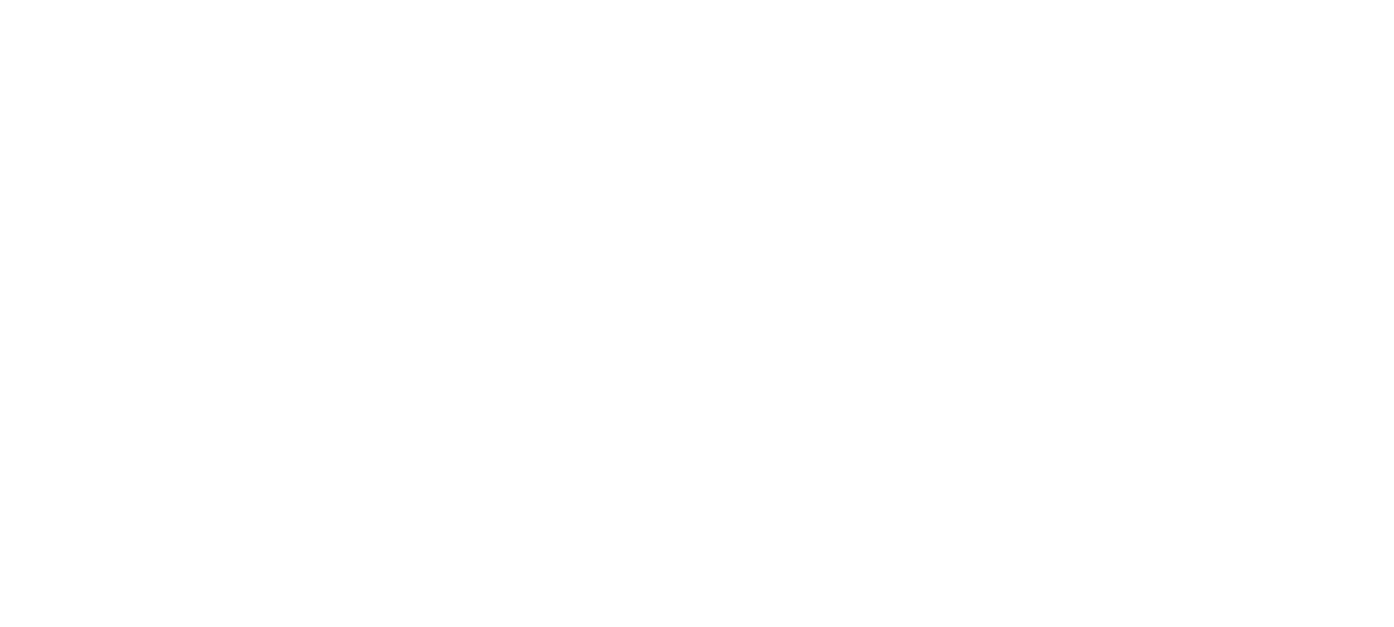 logo_dpr_weiß