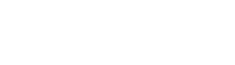 dpr-logo-horizontal-weiss@800