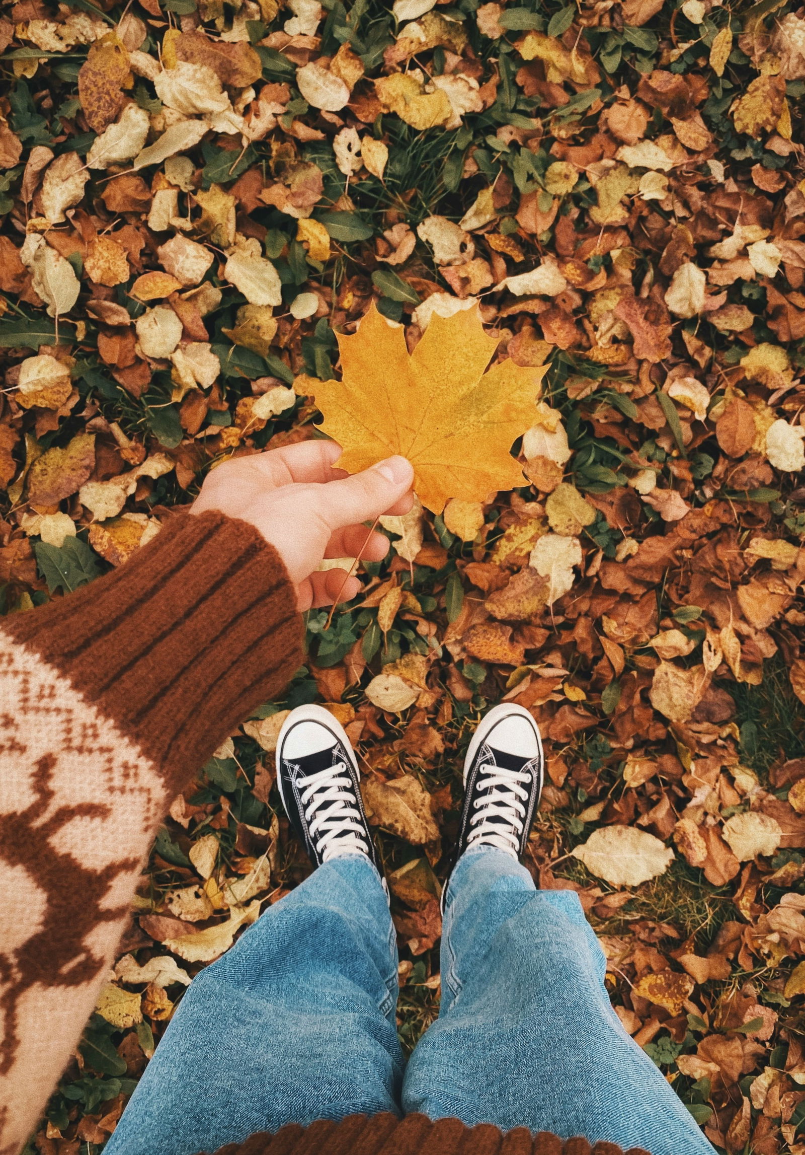autumn walk-gapjgfvGXjE-unsplash