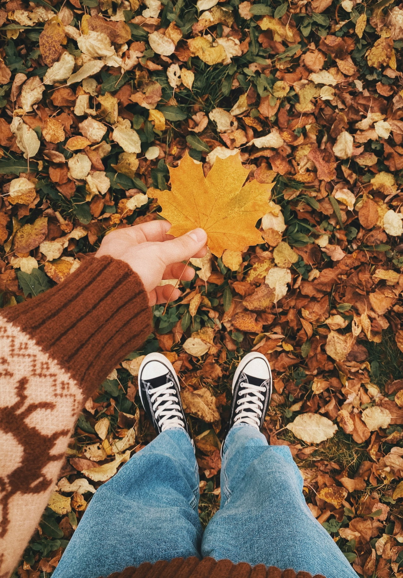 autumn walk-gapjgfvGXjE-unsplash