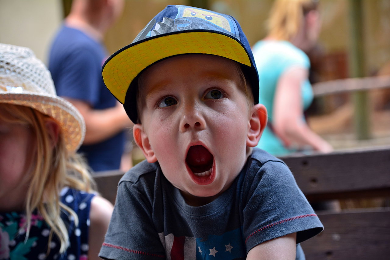kids shock-e9gzBH5UD78-unsplash