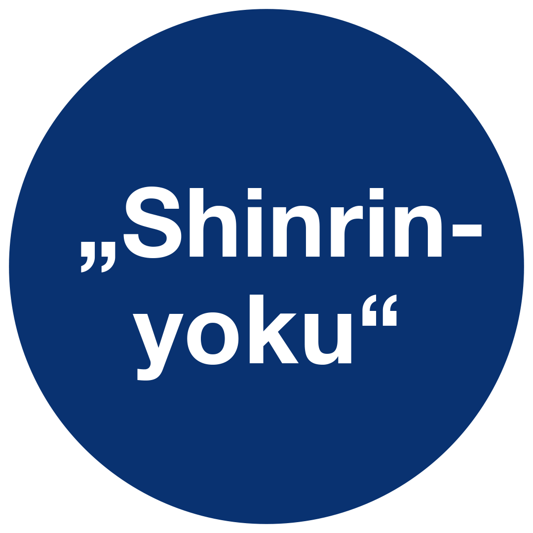 Orthomol_Bilder_DM_Ausg_65_2510_08_WB_Stoerer