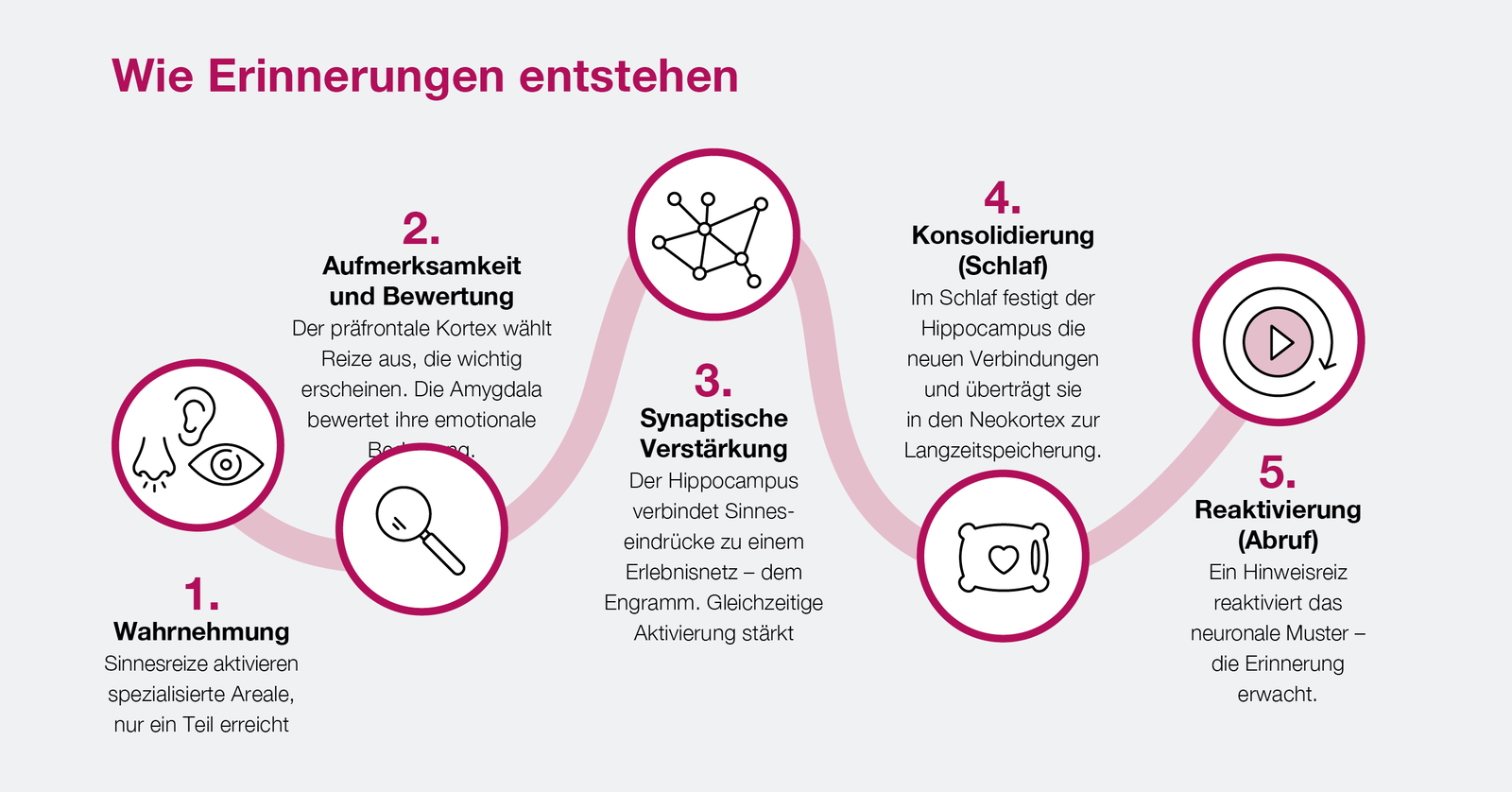 OL_66_02_Titelthema_Grafik_01_260128