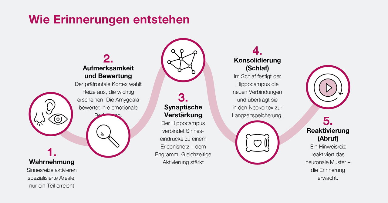 OL_66_02_Titelthema_Grafik_01_260128