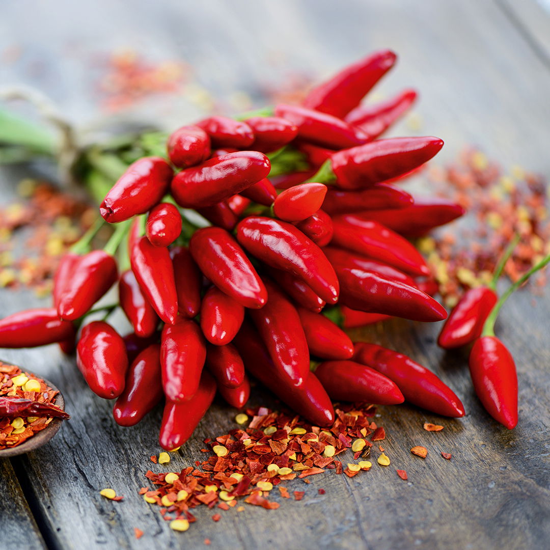 Orthomol_Bilder_DM_Ausg_65_2510_06_E_Chilli
