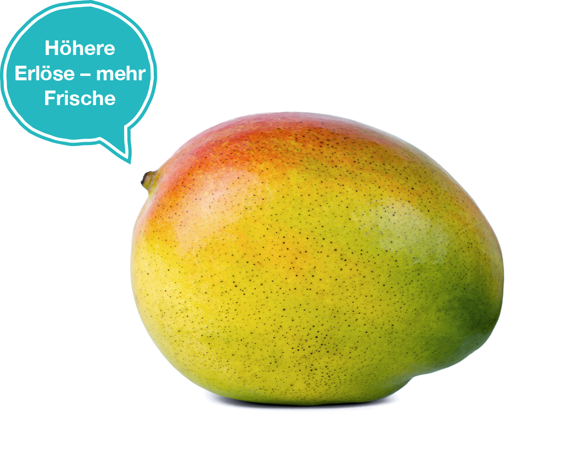 Orthomol_Bilder_DM_Ausg_68_2608_UMWELT_MANGO
