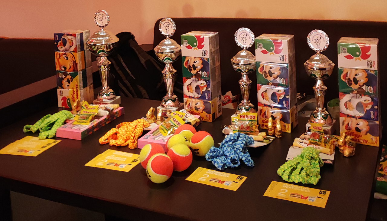Für die Talente gab es Pokale sowie diverse Sachpreise und Gutscheine zu gewinnen.