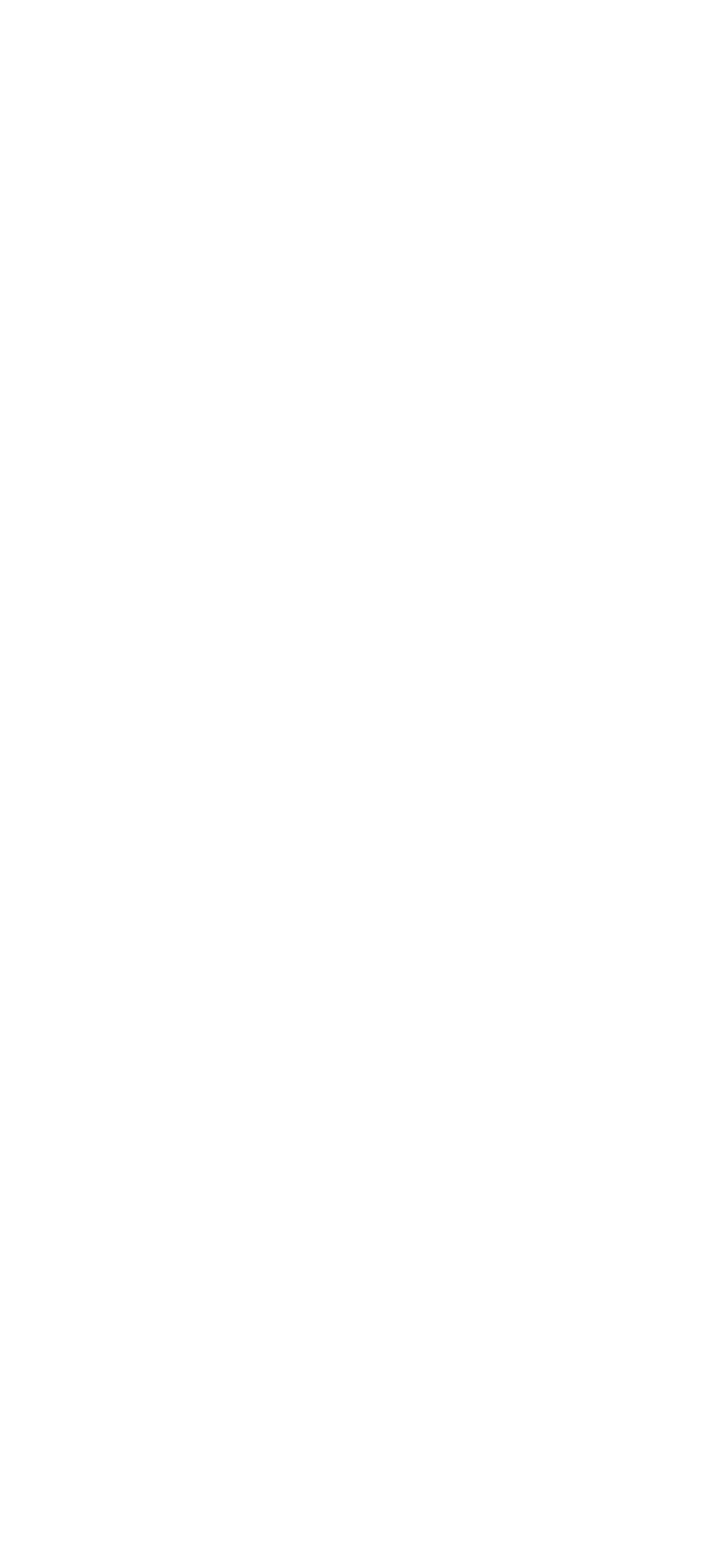 pferd2