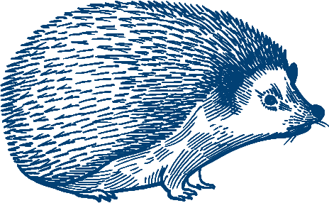 igel Kopie