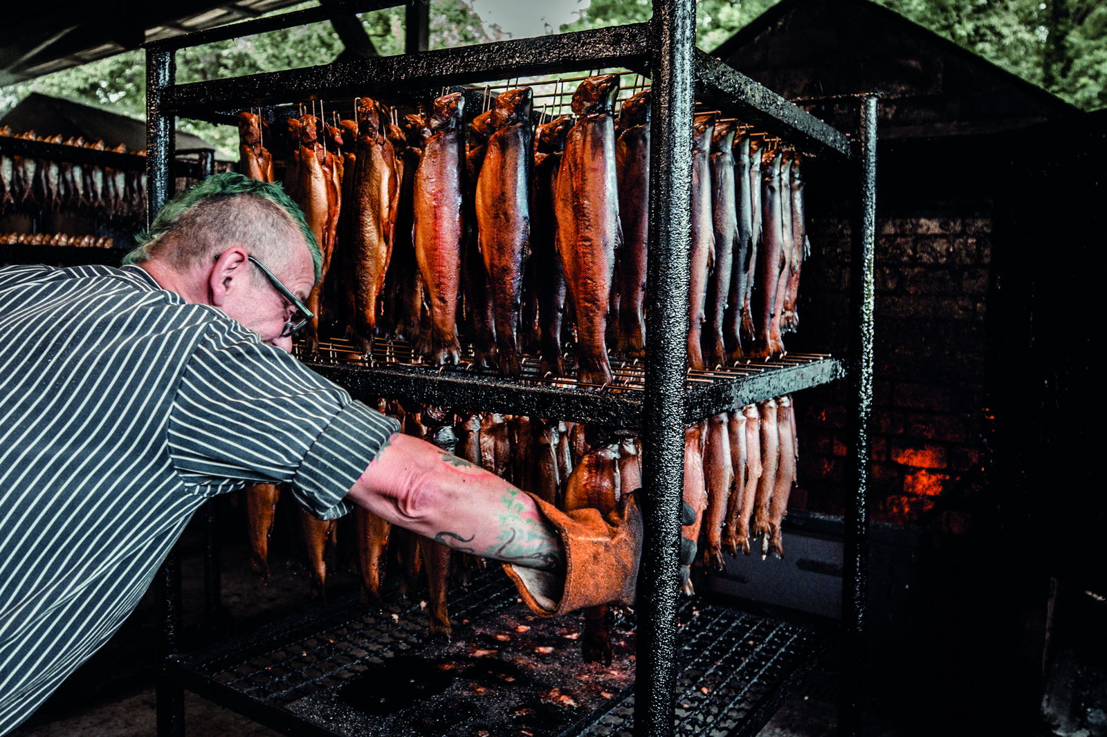 Blickpunkt Fischerei_Fischerei & Räucherei Lasner-1