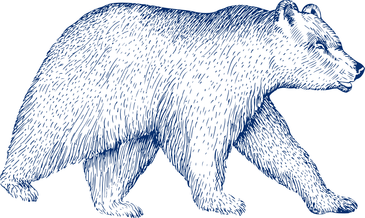 bär