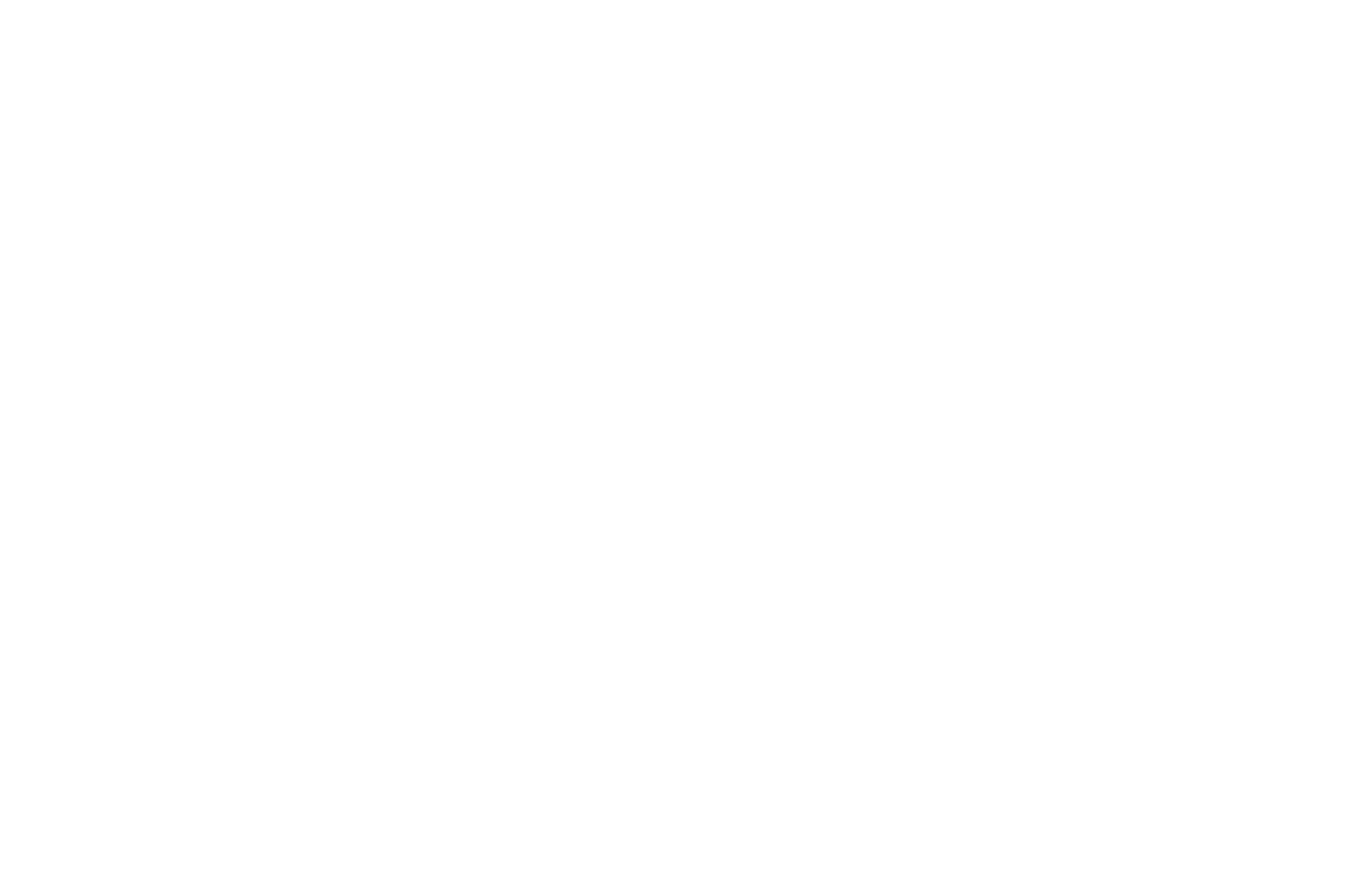 katze