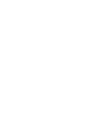pferd@3x