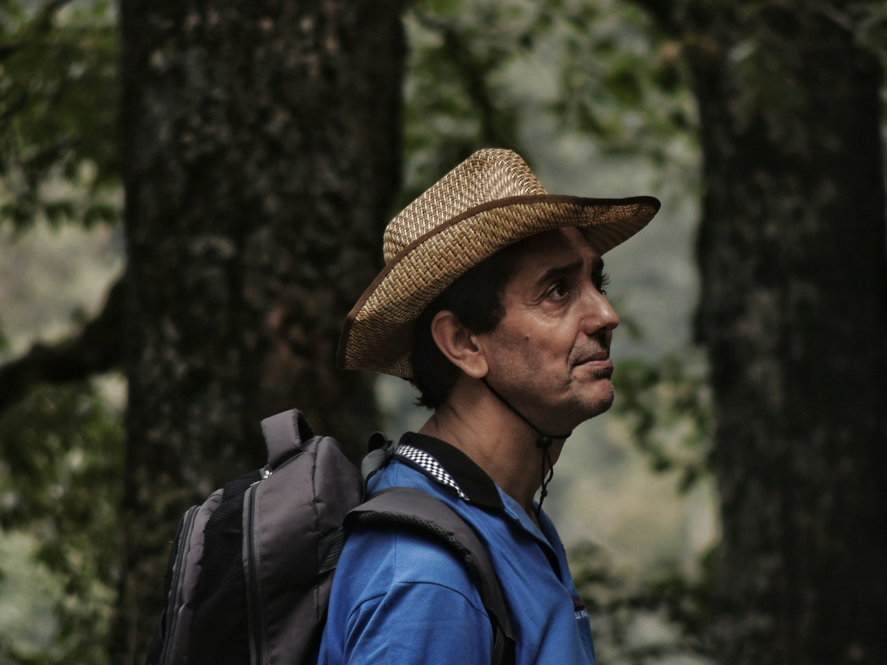 Mann mit Strohhut und Rucksack in Outdoor-Kleidung im Wald, der nachdenklich zur Seite blickt
