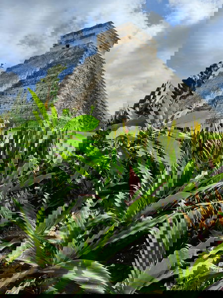 cenote-OoV98D5k3ZQ-unsplash