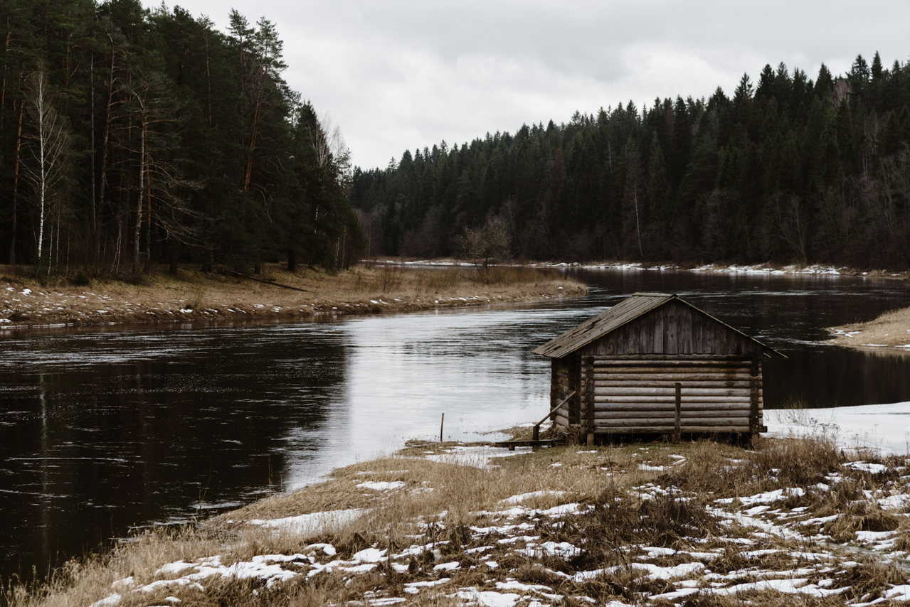 Kleines Holzhaus am Ufer eines ruhigen Fließes vor dunklem Kiefernwald, Schnee und winterliches Schilf