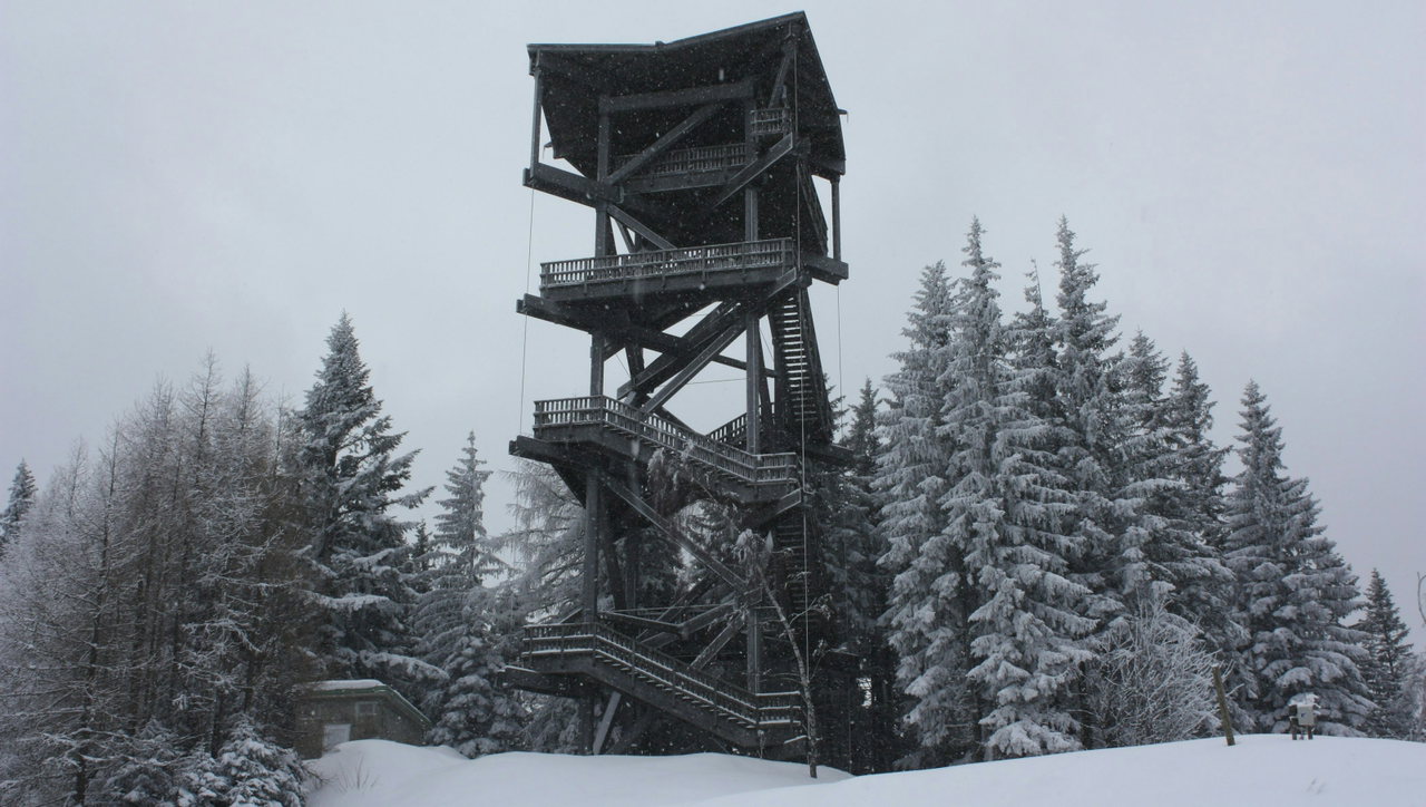 Hoher Aussichtsturm aus dunklem Holz ragt über verschneite Fichten, grauer Winterhimmel