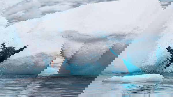 antarctica-bmjp_dwpoU8-unsplash