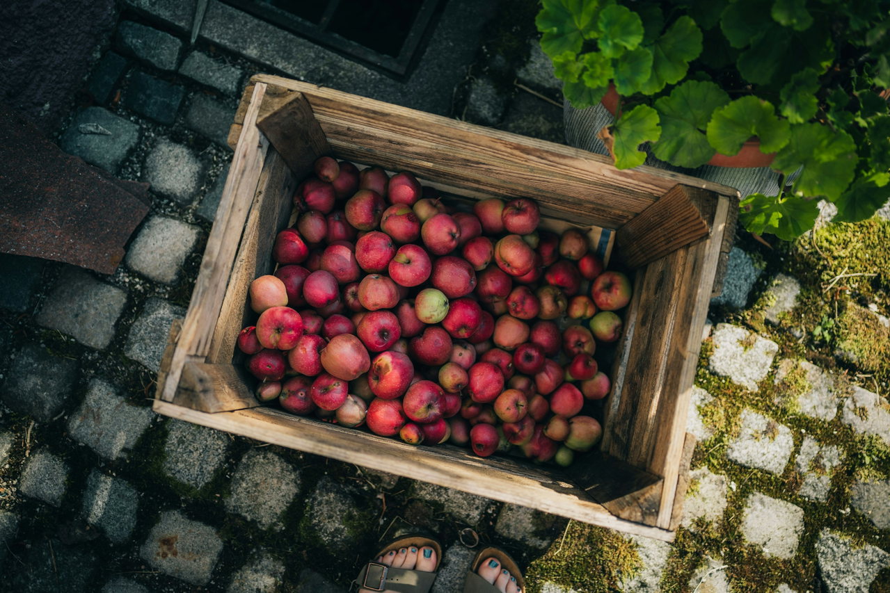 Rote Äpfel in einer Holzkiste auf Kopfsteinpflaster, von oben fotografiert, daneben grünes Laub