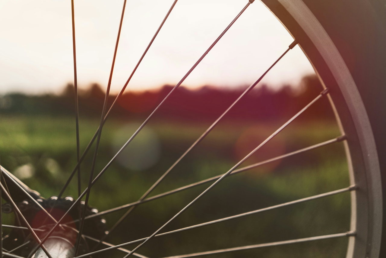 Speichen eines Fahrradlaufrads im Gegenlicht, dahinter eine unscharfe grüne Wiese bei Sonnenuntergang