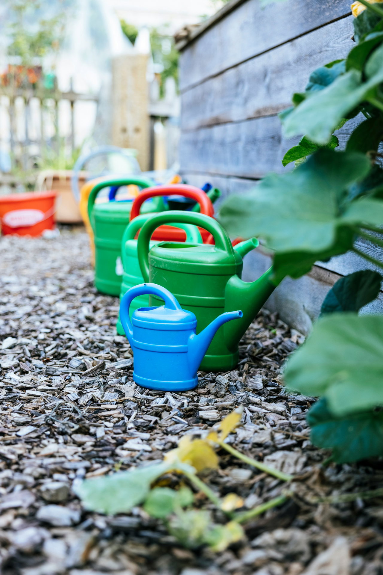 Bunte Gießkannen stehen auf einem Kiesweg im Garten