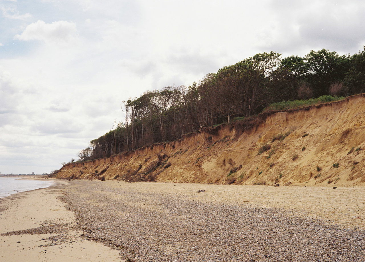 Abbrechende sandige Steilküste mit Bäumen auf der Kante über einem breiten Kiesstrand unter hellem Himmel
