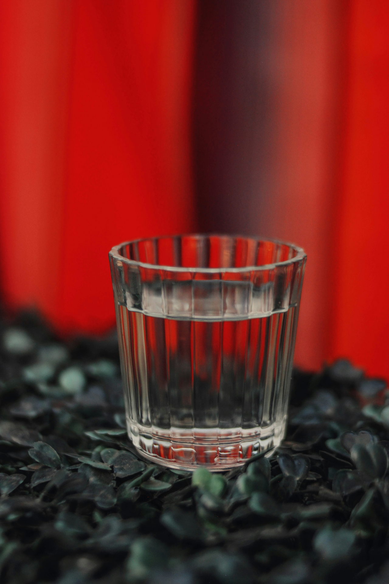 mezcal-jFA3RNJ8Mi0-unsplash