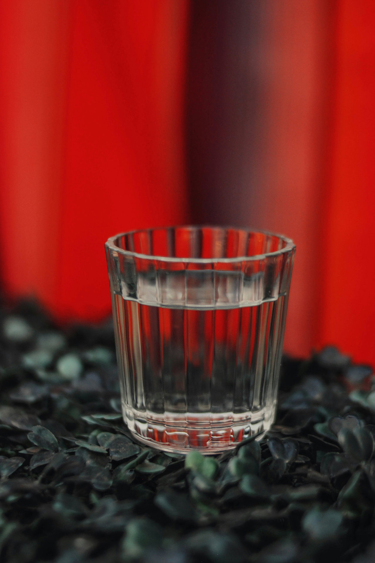 mezcal-jFA3RNJ8Mi0-unsplash