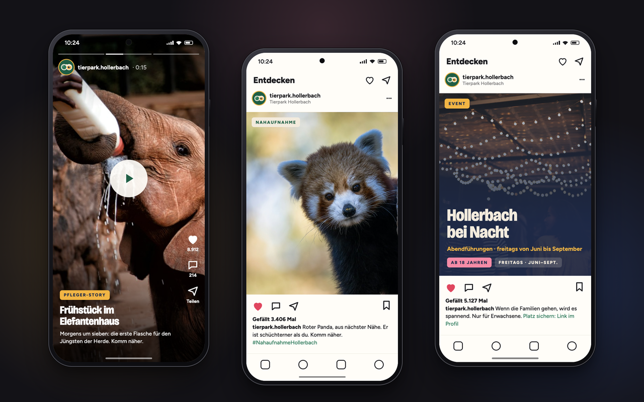 Drei Smartphones mit einem generischen Social-Feed des Tierparks Hollerbach: Pfleger-Story als Video-Standbild mit Play-Symbol (Elefantenkind bekommt die Flasche), Nahaufnahme eines Roten Pandas mit „Er ist schüchterner als du. Komm näher.“ und ein Event-Beitrag „Hollerbach bei Nacht“ – Abendführungen freitags von Juni bis September, ab 18 Jahren.