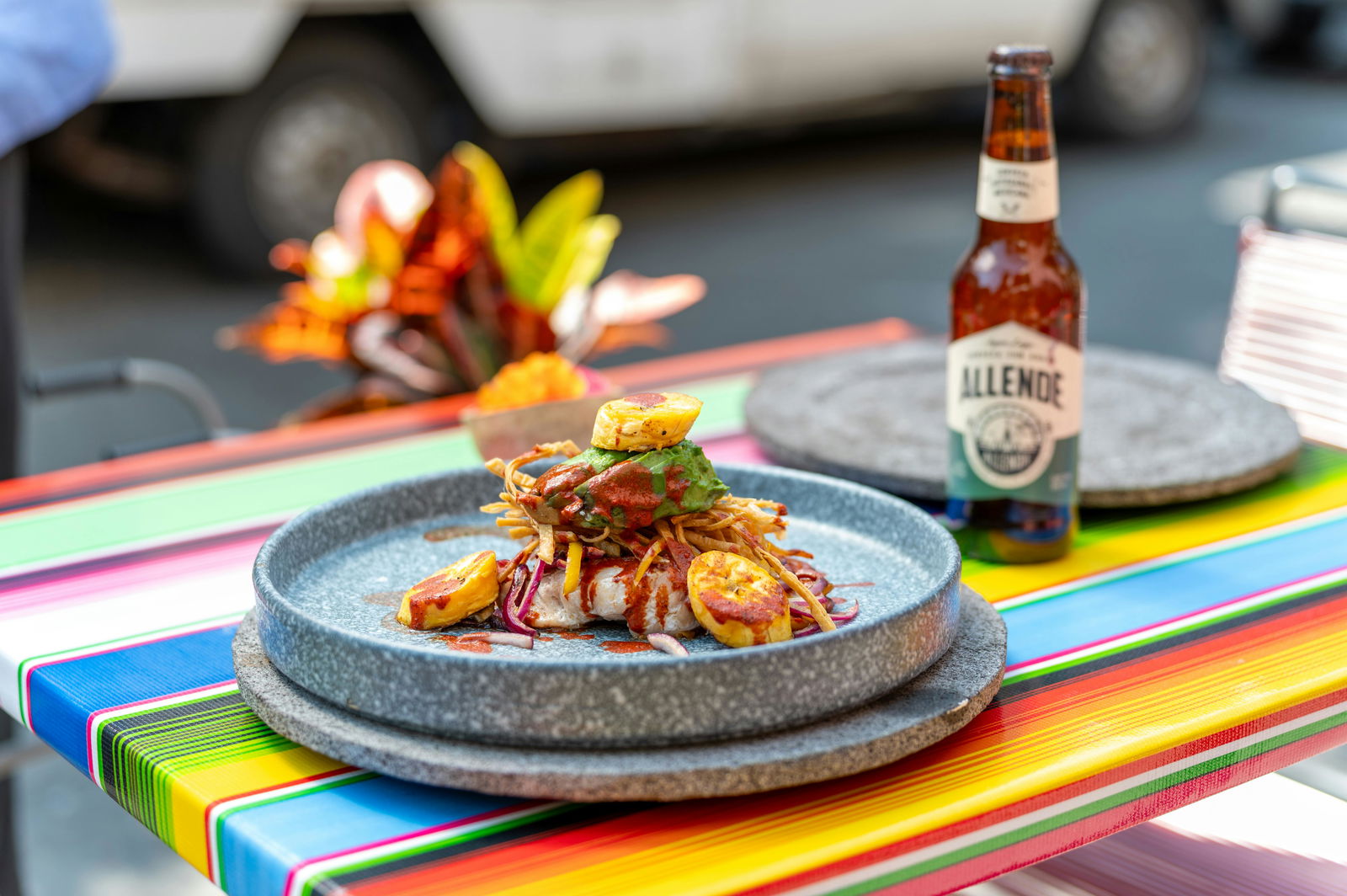 pexels-israwmx-24246001