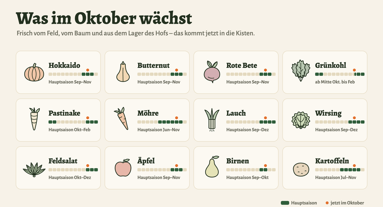 Saisonkalender „Was im Oktober wächst“ mit zwölf gezeichneten Icons und Saisonbalken: Hokkaido, Butternut und Rote Bete: Hauptsaison September bis November. Grünkohl: ab Mitte Oktober bis Februar. Pastinake: Oktober bis Februar. Möhre: Juni bis November. Lauch und Wirsing: September bis Dezember. Feldsalat: Oktober bis Dezember. Äpfel: September bis November. Birnen: September bis Oktober. Kartoffeln: Juli bis November.