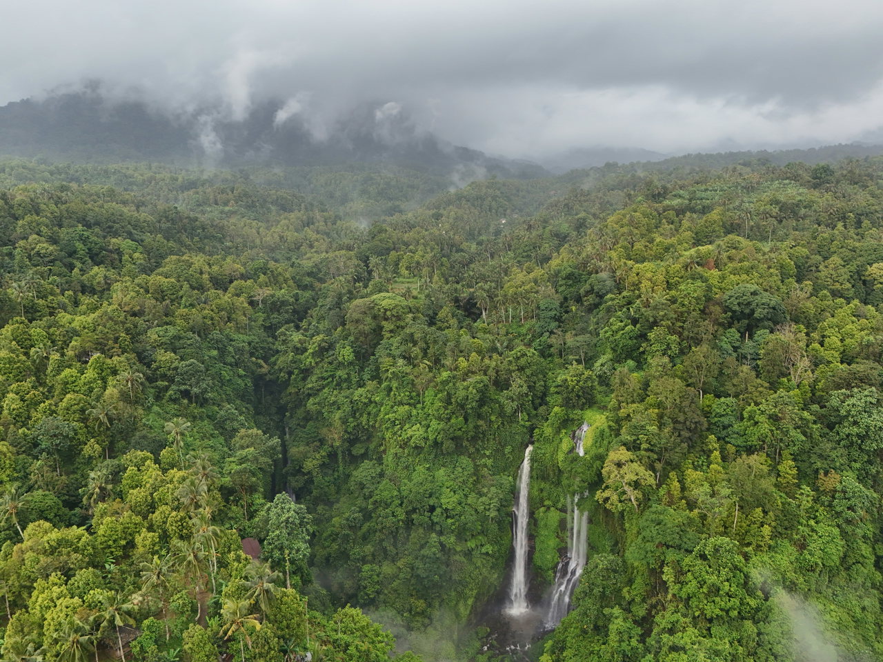 Wasserfall im Regenwald aus der Luft