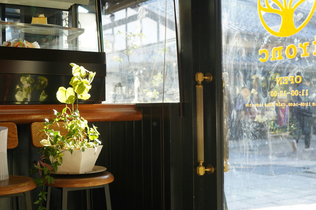 plants cafe-ONZQBBlLvqA-unsplash
